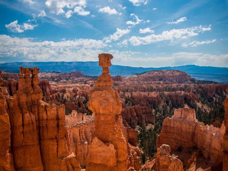 android screenshot 3